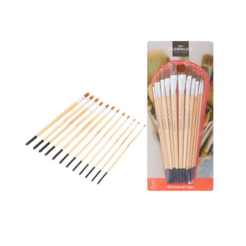 Set de pinceaux 12 pc professionnels plat