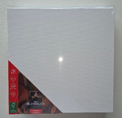 Toile à peindre 25×25 cm 3 pcs
